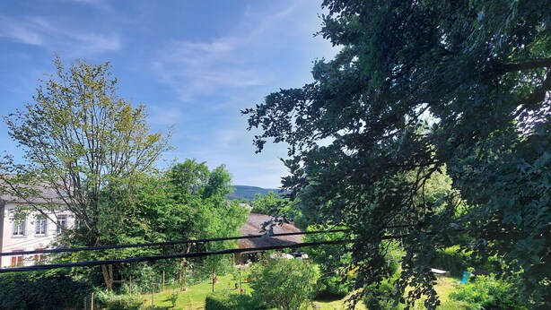 A residential garden with a thatched-roof house, a paved pathway, and a variety of greenery. - Modern Holiday Home with Hot Tub & Sauna in Ardennes (Lierneux)