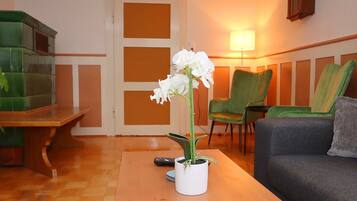 Apartment | Wohnbereich | Fernseher