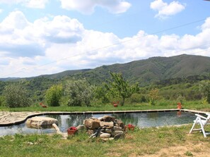 House | Pool | Outdoor pool