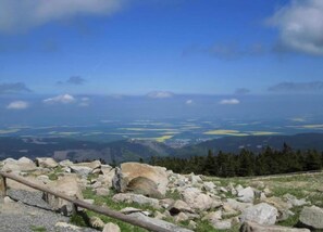 Bungalow | Vue depuis lâhĂ©bergement