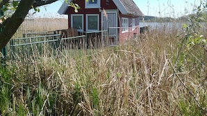 A small red house with a thatched roof, surrounded by tall reeds and a metal fence. - Bootshaus Direkt am See mit Eigenem Steg an der Ostsee (Sternberg)