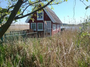 A small red house with a thatched roof, surrounded by tall reeds and a metal fence. - Bootshaus Direkt am See mit Eigenem Steg an der Ostsee (Sternberg)