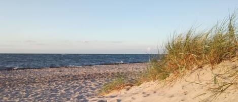 Une plage de sable avec des vagues et une végétation clairsemée.