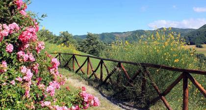 Apartment in Pennabili on Tuscan Border near Nature Park