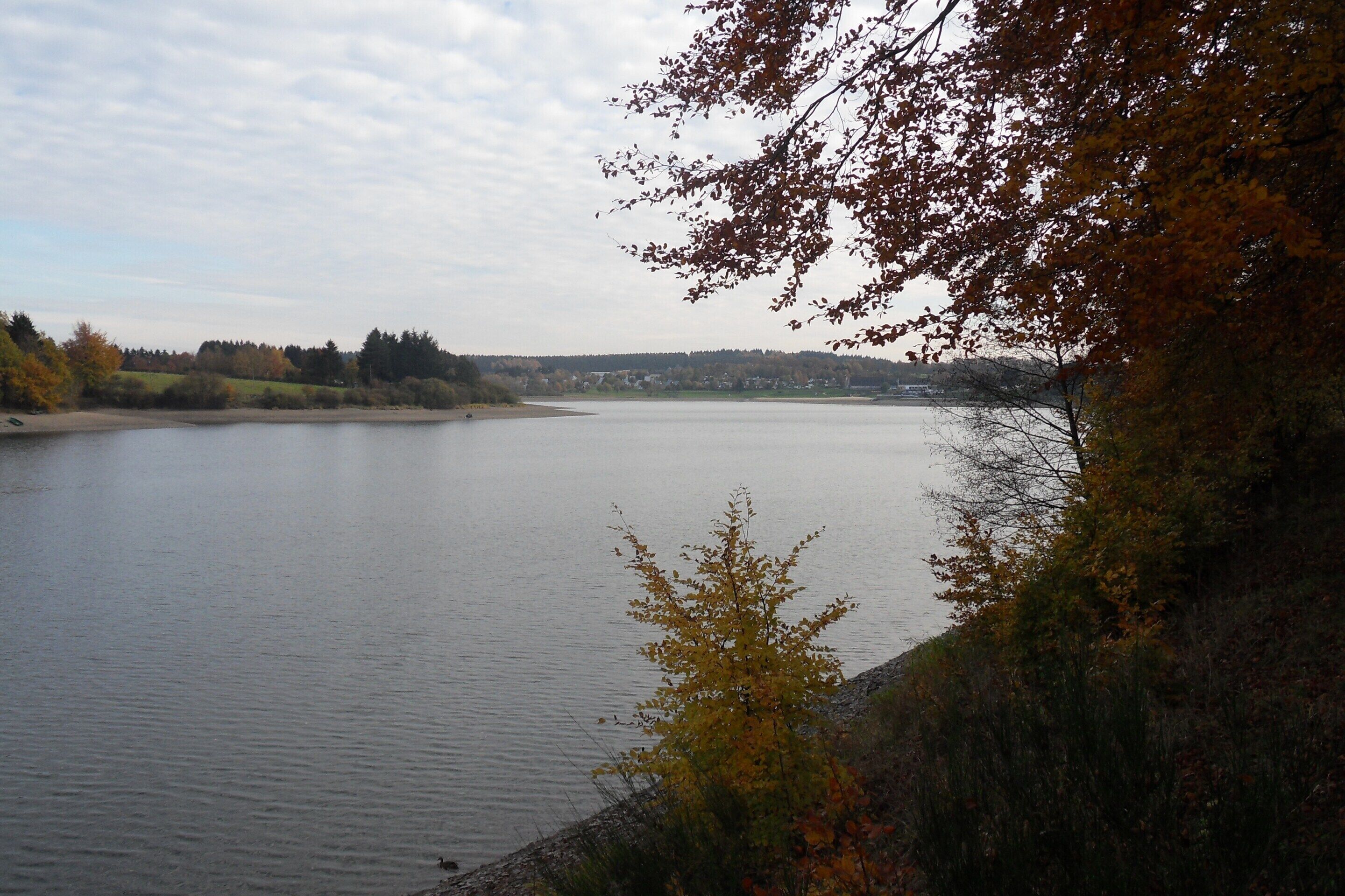 A calm lake surrounded by trees with autumn foliage.