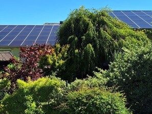 A building with solar panels on the roof and dense greenery in front.