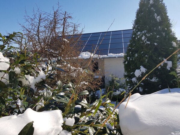A building with a solar panel roof, surrounded by snow-covered plants and trees.