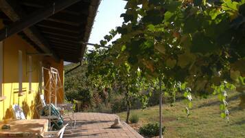 Apartment | Exterior