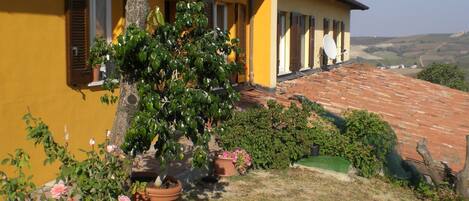 Apartment | Exterior