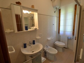 House | Bathroom - Refined Holiday Home in Popiglio With Terrace (San Marcello Piteglio)