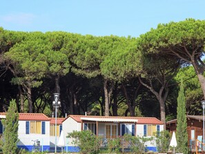 Chalet | Exterior - Nice Chalet in Pine Forest near Adriatic Sea (Cesenatico)