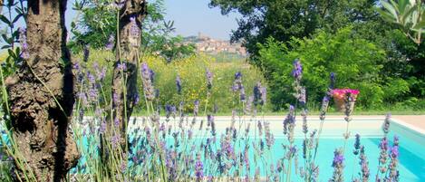 Hus | Pool | Utomhuspool