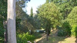 A garden with various trees and a pathway. - Cozy Holiday House With Terrace (Castiglion Fiorentino)
