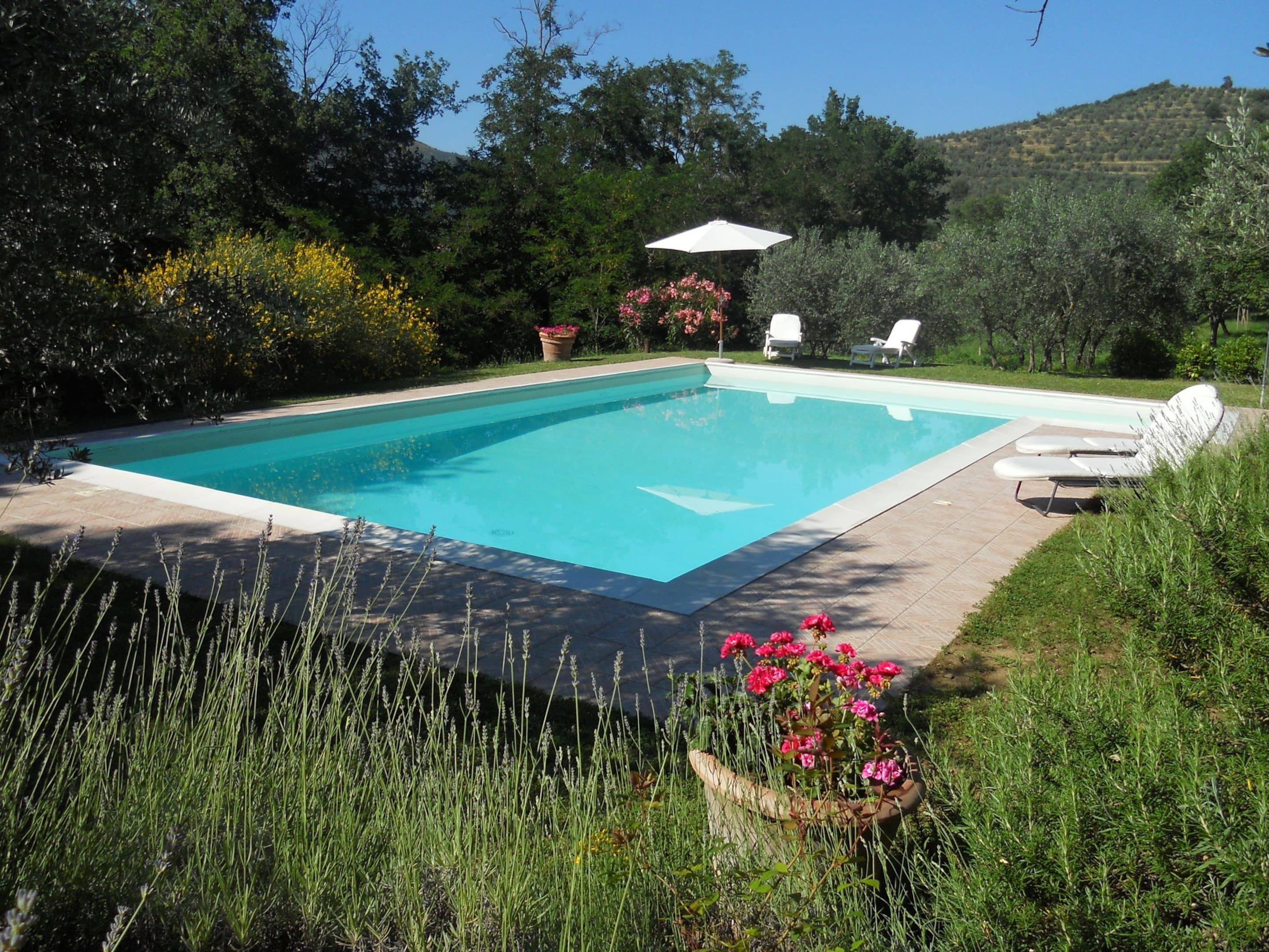Ferienhaus | Pool | Außenpool