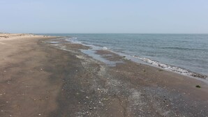 A beach with a sandy shore and calm water. - Sun Drenched Residence with Pool in Rosolina Mare near Venice (Rosolina)