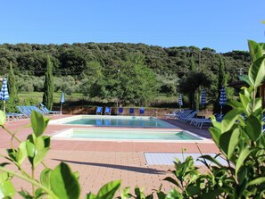Outdoor pool, sun loungers