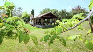 A rustic wooden building with a tiled roof, surrounded by a grassy area and trees. - Holiday Home in Sabina With Saltwater Pool (Selci)