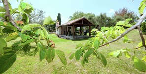 House | Garden - Holiday Home in Selci With Saltwater Pool (Selci)