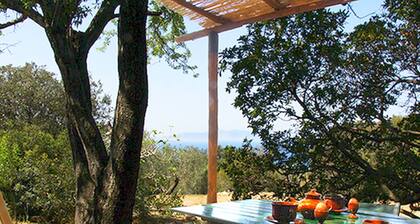 Chic Holiday Home in Monte Argentario With Garden