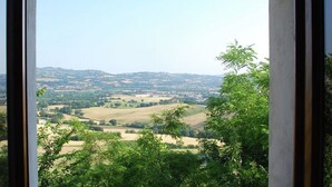 Une vue à travers une fenêtre sur un paysage de collines douces et de verdure.