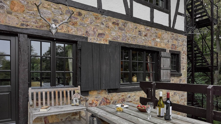 Spacious Villa in Liege