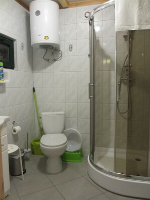 A bathroom with a toilet, bidet, shower, and a white wall-mounted toilet paper holder. - Charming House on a Hill Overlooking the Lake, Near Miedzyzdroje (Miedzyzdroje)