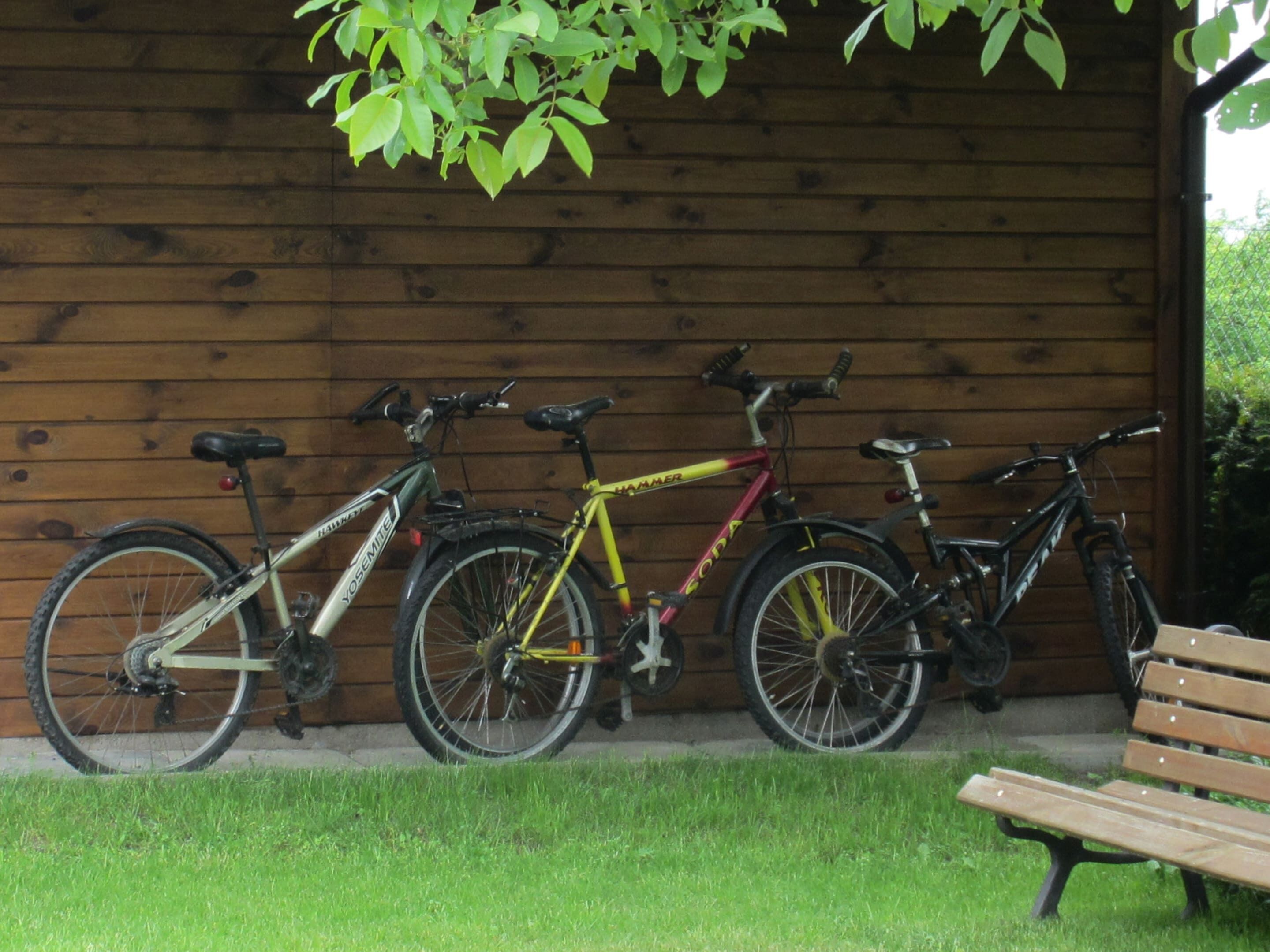 House | Property grounds