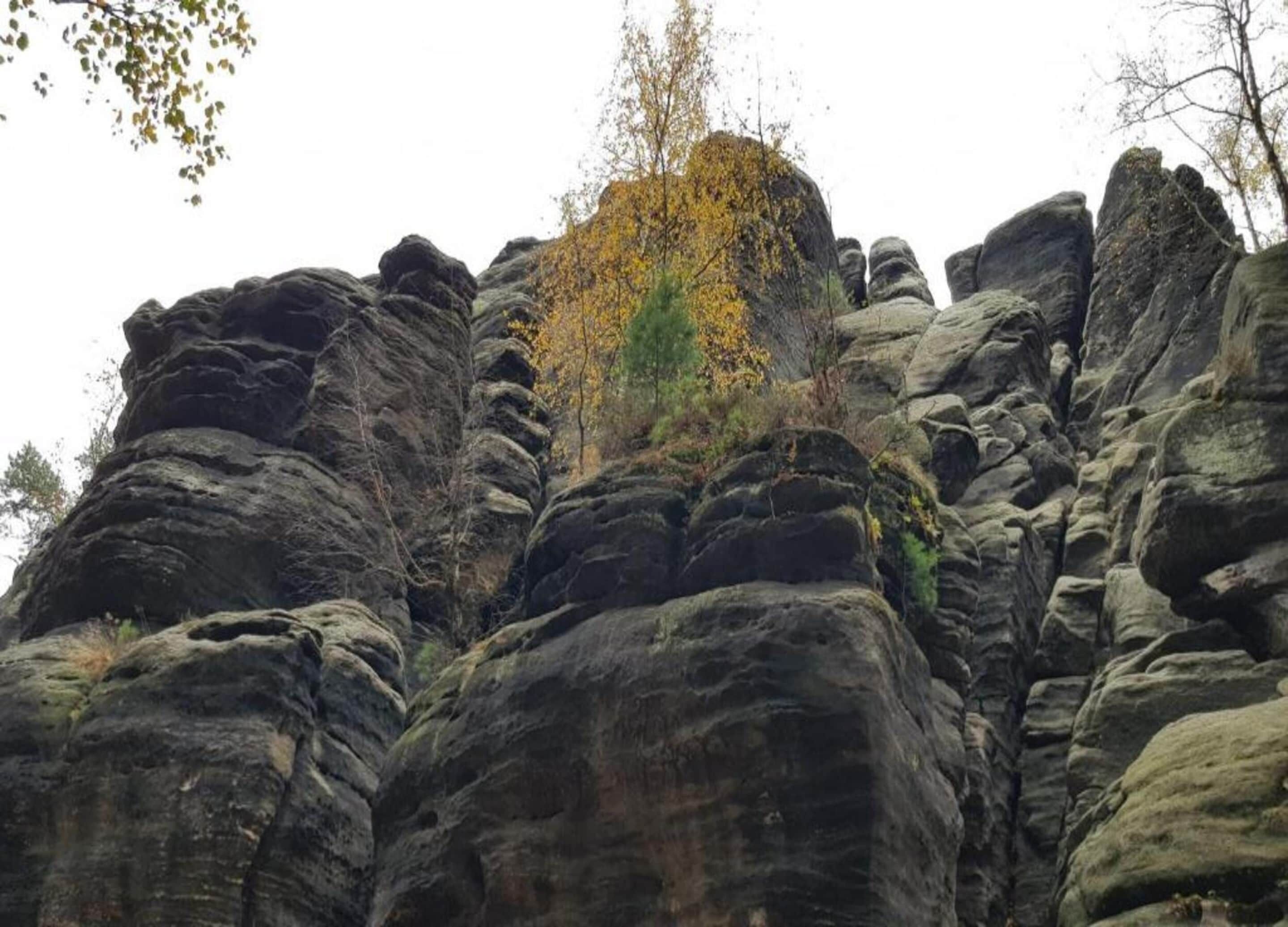 Paisaje rocoso con grandes rocas y un árbol de hojas amarillas.