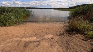 Una playa arenosa que da a un lago tranquilo rodeado de zonas verdes.