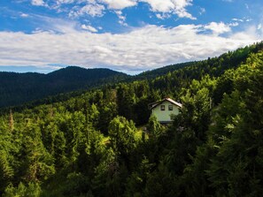 Exterior - Secluded Holiday Home with Hot Tub in Kozji Vrh (Cabar)