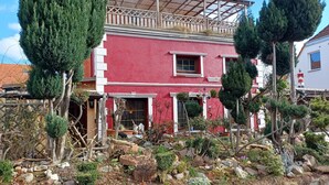 A red building with a balcony, surrounded by various plants and trees. - Apartment in Wismar Near Beach (Wismar)