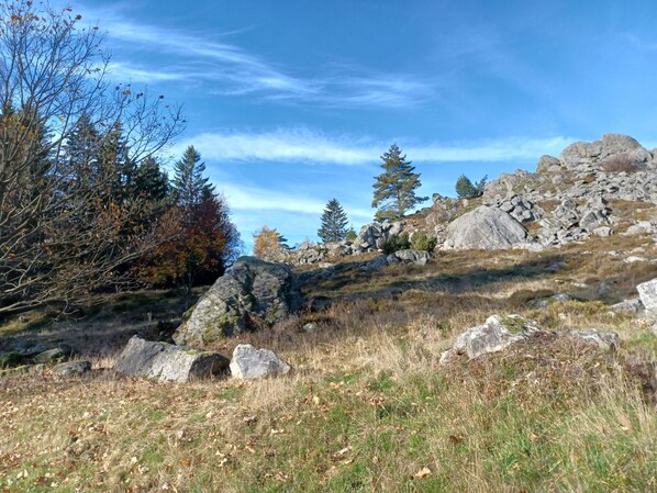 House | Pool - Schones Ferienhaus mit Grossem Garten bei Stadlern (Stadlern)