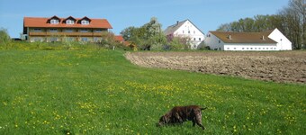 Wohnung in Rotthalmunster mit Balkon