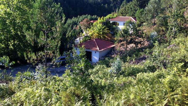 Eksteriør