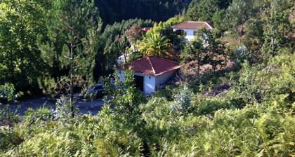 Space, Serenity and Luxury in the Green Heart of Portugal