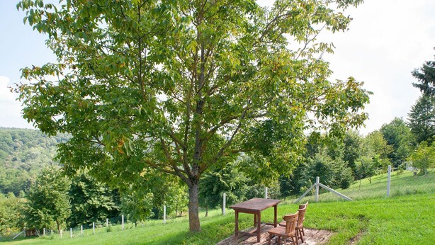 Unclassified image, 1 of 27, button - Serene Holiday Home in Đurđevac With Garden (Durdevac)