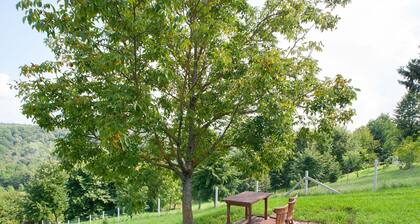 Serene Holiday Home in Đurđevac With Garden