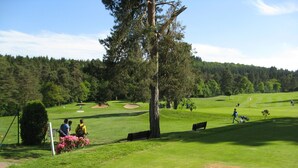 Un campo de golf con un árbol grande, un banco y un grupo de personas.