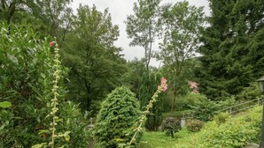 Ein üppiger Garten mit verschiedenen Pflanzen und Bäumen, einem Kiesweg und einer kleinen Steinstruktur.