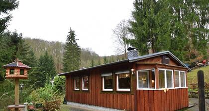 Luxurious Bungalow in Neustadt Harz With Private Terrace