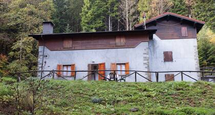 Comfy Holiday Home With Fireplace, Garden Furniture,barbecue