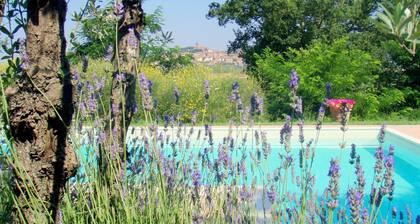 Villa in Tuscany With Private Pool