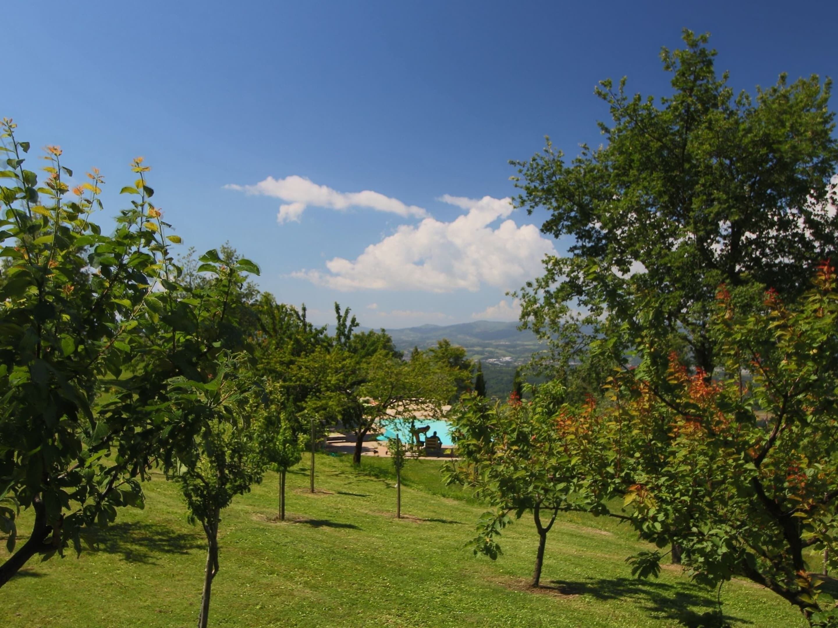 獨棟房屋 | 花園