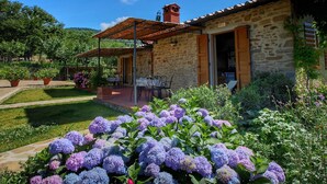 A stone house with a patio, surrounded by lush gardens and purple hydrangea flowers. - Farmhouse in Loro Ciuffenna With Pool & Garden (Loro Ciuffenna)