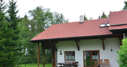 Serene Holiday Home in Bischofsmais Bavaria near Forest