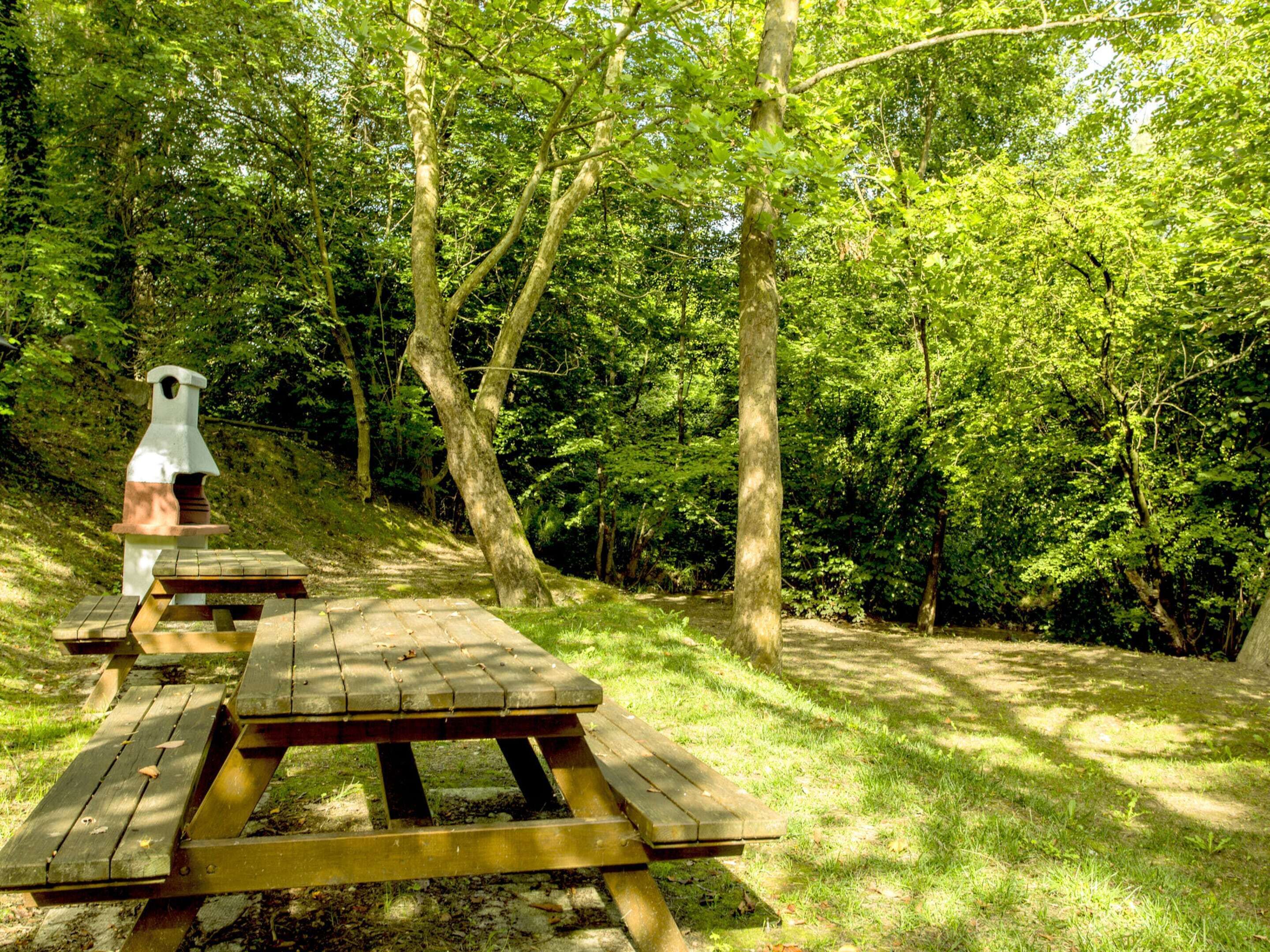 Ein Picknickbereich mit Bänken und Grill inmitten von Bäumen.