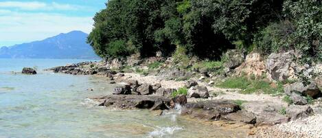 House | View from property