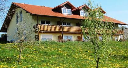 App. in Rotthalmunster Near the spa Triangle