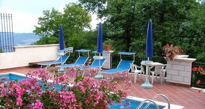 Majestic Castle in Rosello With Swimming Pool