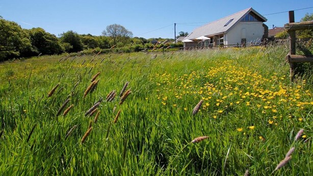 House | Property grounds - Large, Modern Farmhouse in Umberleigh on the River Taw (Umberleigh)